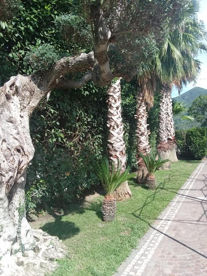 Villa Agata Forchia Zewnętrze zdjęcie