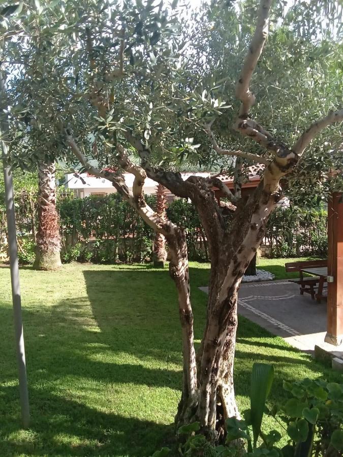 Villa Agata Forchia Zewnętrze zdjęcie