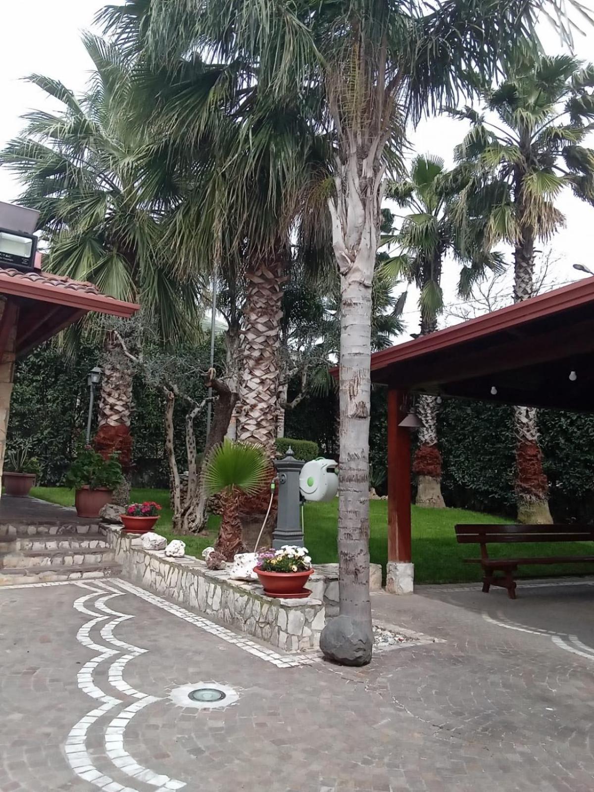 Villa Agata Forchia Zewnętrze zdjęcie